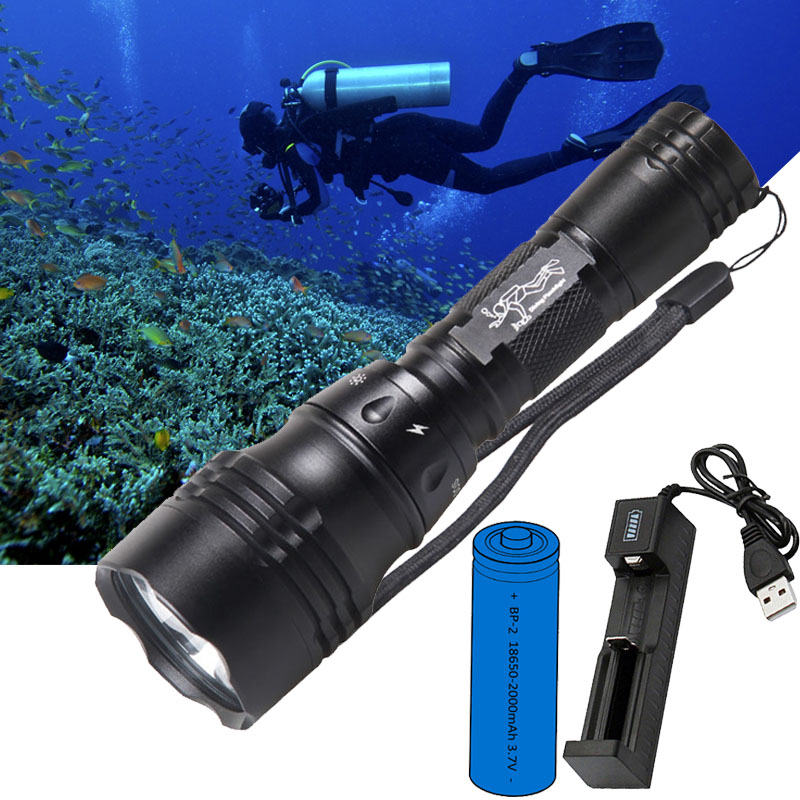 Fish Finder Charger - Lampe de plongée portable 10W T6